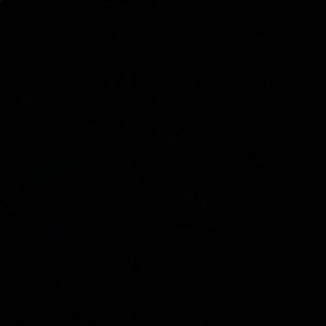 Meet your Posher, Hayden